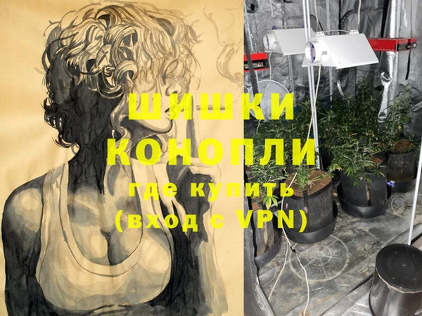 молекула духа Балахна