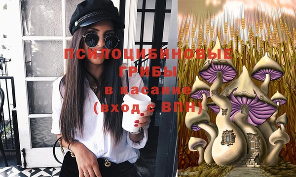 молекула духа Балахна