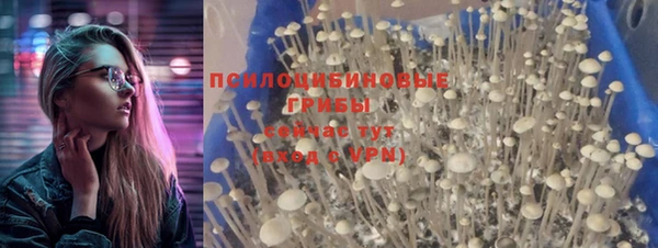 молекула духа Балахна