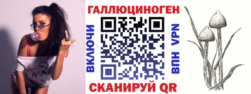 Галлюциногенные грибы MAGIC MUSHROOMS  дарнет шоп  Красный Сулин 